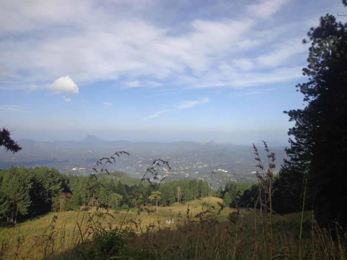 Nisha Homestay Inn Peradeniya Exterior foto